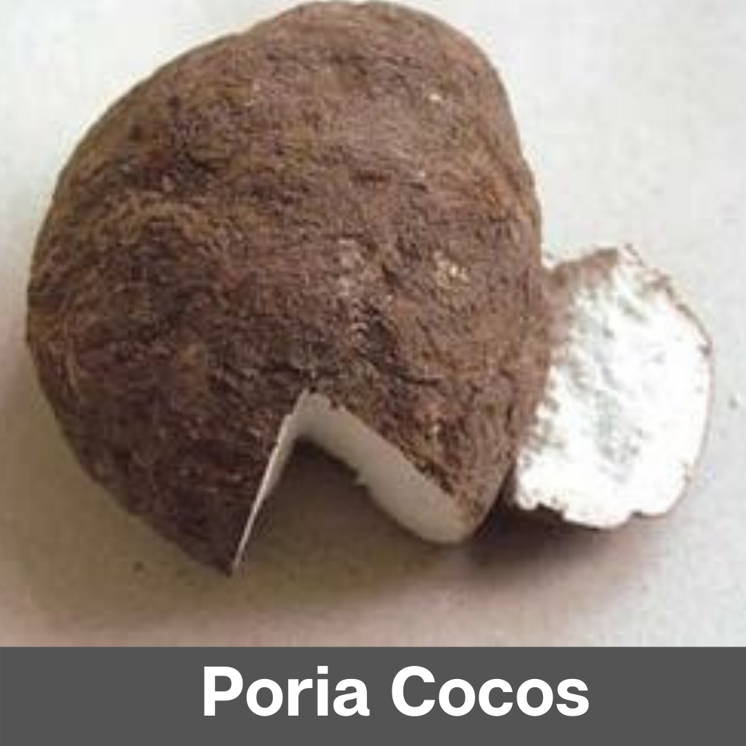 poria cocos