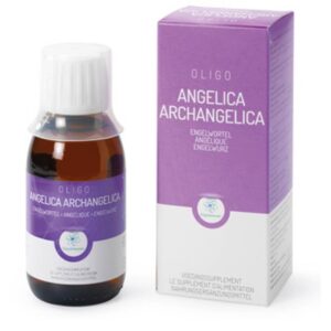 oligoplant-angelica-archangelica--2